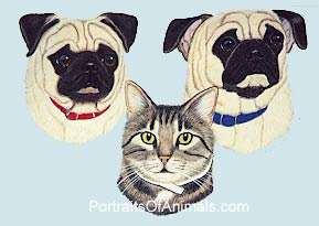 2 Pugs and a Tabby Cat Portrait - Pet Portraits by Cherie