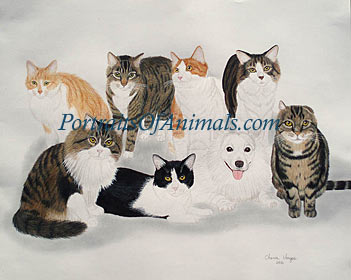 7 Cats and a Dog Portrait