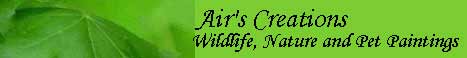 Airs Creations Banner