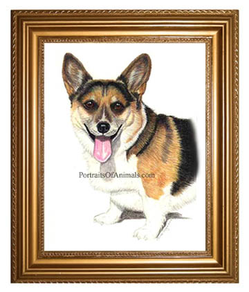 Pembroke Welsh Corgi Dog Portrait painting