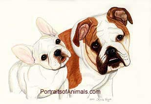 French and English Bulldogs Portrait - Pet Portraits by Cherie