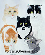 5 Cats Portrait