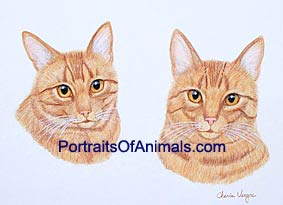 Tiger Cat Portrait - Pet Portraits by Cherie