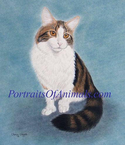 Tabby Cat Portrait Pet Portraits by Cherie Vergos