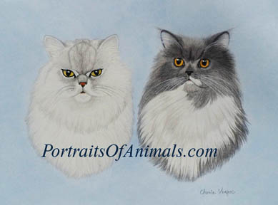 Persian Cat portrait painting