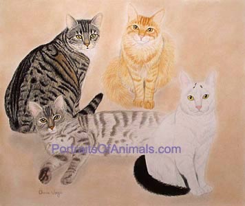 4 Cats Portrait