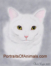 White Cat portrait