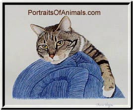 Tabby Cat Portrait