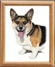 Corgi Dog Portrait - Pet Portraits by Cherie Vergos