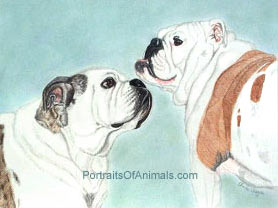 2 Bulldogs Dog Portrait - Pet Portraits by Cherie