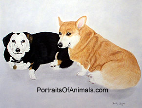 Pembroke Welsh Corgi Dog Potrait - Pet Portraits by Cherie