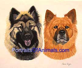 Chow Mix and Eurasier Portrait- Pet Portraits by Cherie Vergos