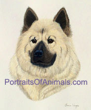 Eurasier Portrait- Pet Portraits by Cherie