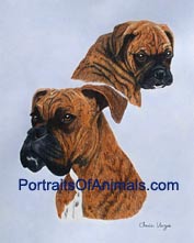 Boxer Dog Portrait - Pet Portraits by Cherie