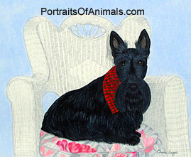 Scottish Terrier Dog Portrait