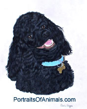 Standard Black Poodle Dog Portrait - Pet Portraits by Cherie