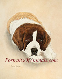 St Bernard Dog Portrait Art - Pet Portraits by Cherie Vergos