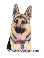 German Shepherd Dog Portrait - Pet Portraits by Cherie