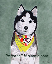 Siberian Husky Dog Portrait -Pet Portraits by Cherie Vergos