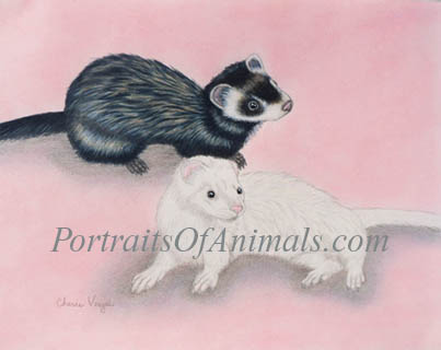 Ferret Portrait Painting