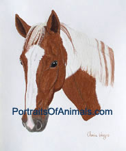 Painted Horse Portrait