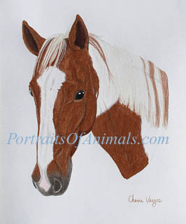 Painted Horse Portrait - Pet Portraits by Cherie Vergos