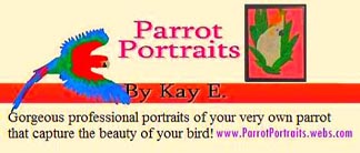 parrot portraits